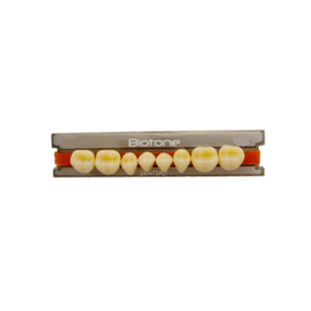 BIOTONE POST. INF.32MI COR 62 DENTSPLY