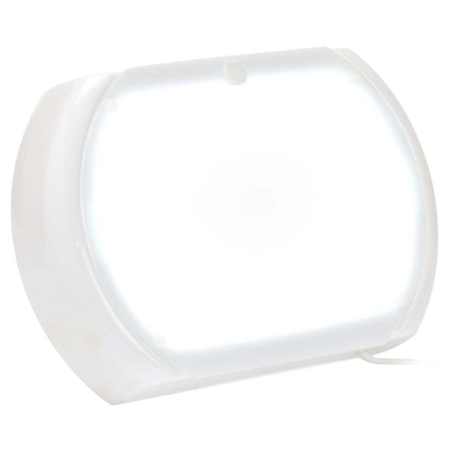 NEGATOSCOPIO SLIM LED ENDODONTICO BIOTRON