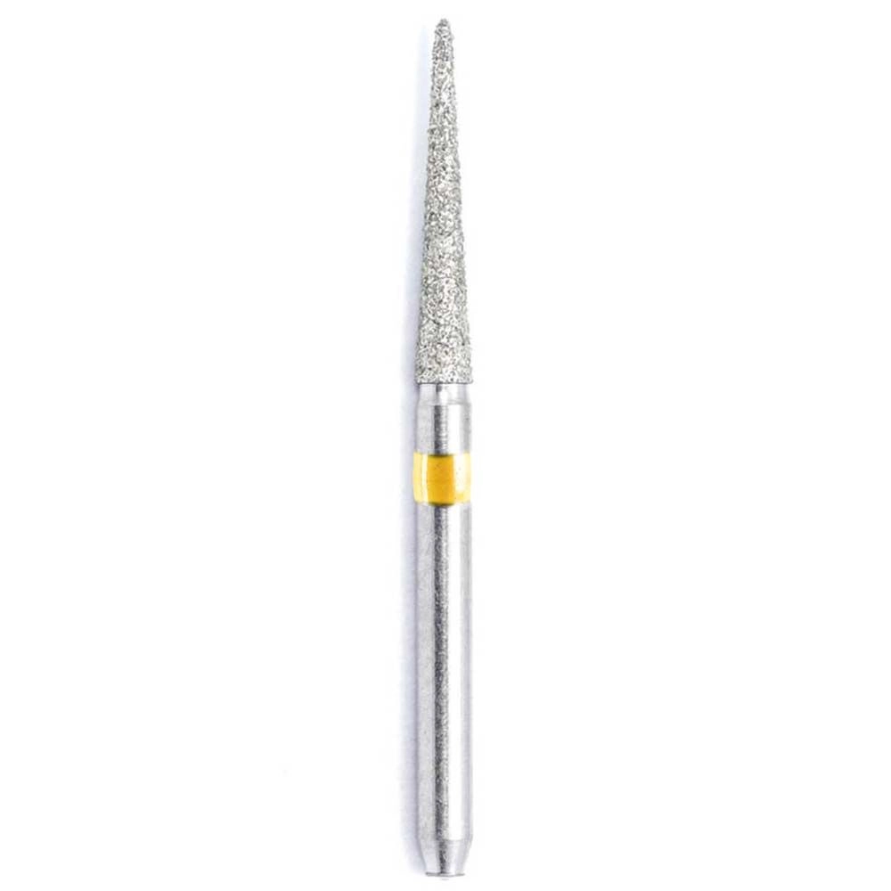 PONTA DIAMANTADA - CHAMPION 3195EF BLISTER C/ 10 MICRODONT