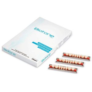 BIOTONE ANT. SUP. A25S COR 62 DENTSPLY