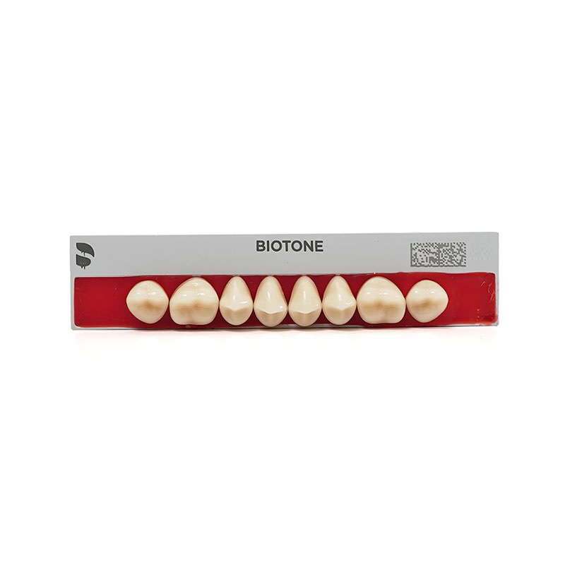 BIOTONE POST. SUP.34LS COR 62 DENTSPLY