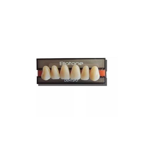 BIOTONE ANT. SUP. A25S COR 66 DENTSPLY