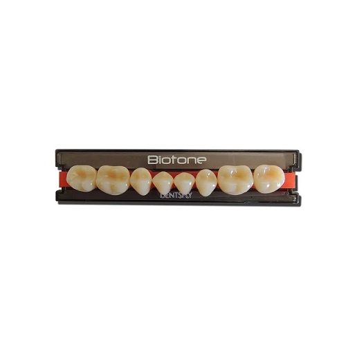 BIOTONE POST. INF.32LI COR 62 DENTSPLY