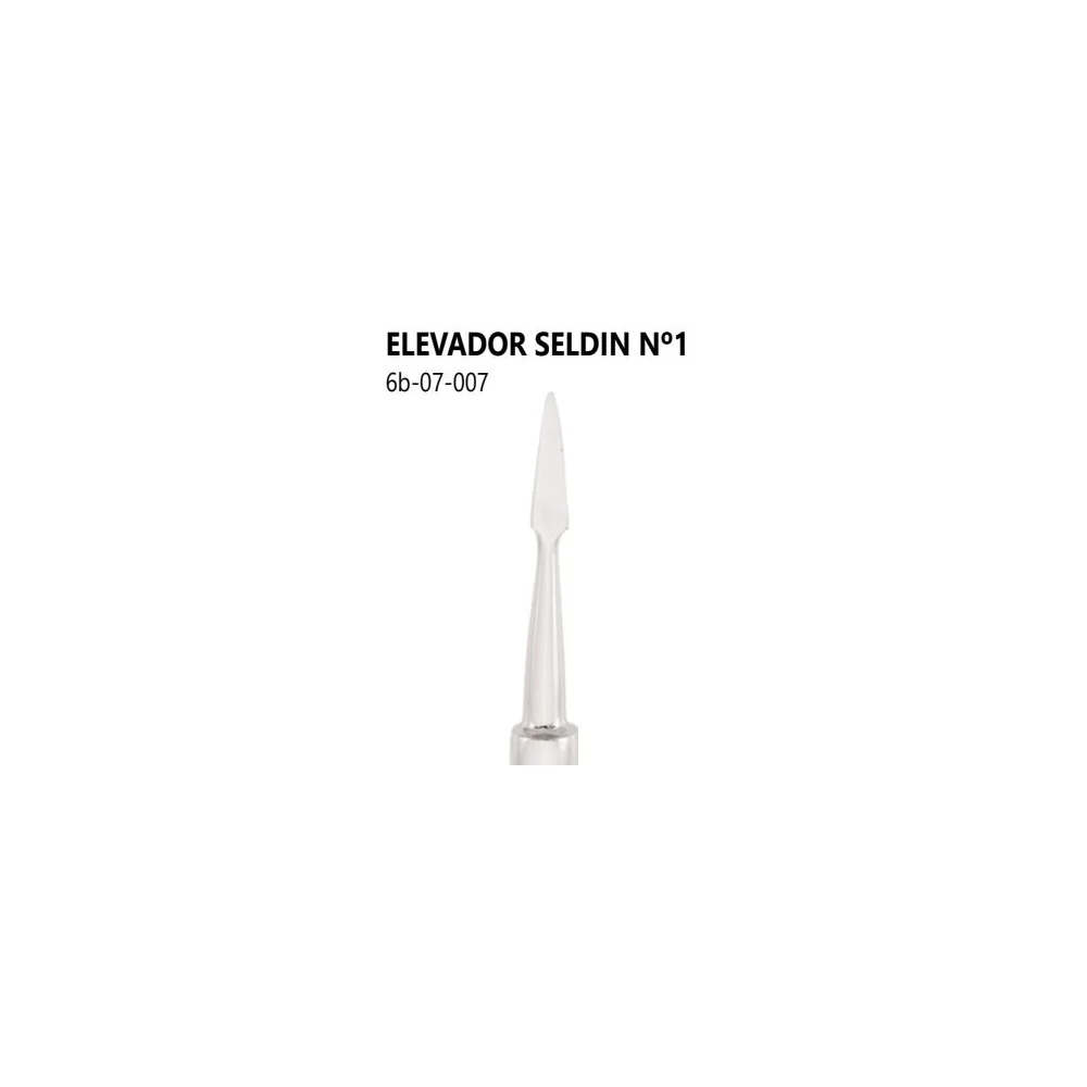 ELEVADOR SELDIN Nº 1 6B INVENT